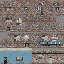 sw_block07a_LOD texture from ce_lod_04.txd (64x64 DXT1)