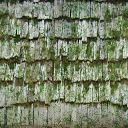 sw_cabinroof texture from cw2_logcabins.txd (256x256 DXT1)