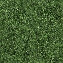sw_copgrass01 texture from cunte_cop.txd (256x256 DXT1)