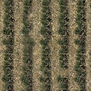 sw_crops texture from ce_ground07.txd (256x256 DXT1)