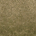 sw_dirt01_forestblend texture from cuntwlandcent.txd (128x128 DXT1)