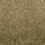 sw_dirt01_forestblend texture from lodcunty.txd (64x64 DXT1)