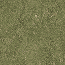 sw_grass01 texture from rczero_track.txd (128x128 XRGB32)