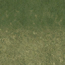 sw_grass01a texture from ce_ground03.txd (128x128 DXT1)