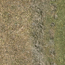 sw_grassB01 texture from ce_ground07.txd (256x256 DXT1)