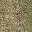 sw_grassB01LOD texture from ce_lod_01.txd (32x32 DXT1)