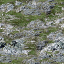 sw_rockgrass1 texture from ce_ground11.txd (256x256 DXT1)