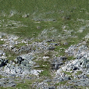 sw_rockgrassB1 texture from ce_ground09.txd (256x256 DXT1)