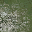 sw_rockgrassB2LOD texture from lahills_lod.txd (32x32 DXT1)