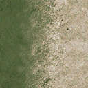 sw_sandgrass texture from ce_ground04.txd (128x128 DXT1)