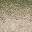 sw_sandgrass4 texture from lodcunty.txd (32x32 DXT1)
