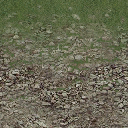 sw_stonesgrass texture from ce_ground04.txd (256x256 DXT1)