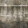 sw_tunnel01LOD texture from ce_lod_04.txd (32x32 DXT1)