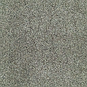 tarmacplain1 texture from dmcages.txd (128x128 DXT1)
