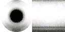 tat_roll1 texture from inttattoobits.txd (128x64 DXT1)
