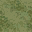 tempgrassLOD1 texture from lod2_sfe.txd (32x32 DXT1)