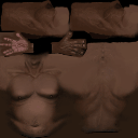 torso_fat texture from player_torso.txd (256x256 XRGB32)