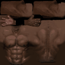 torso_ripped texture from player_torso.txd (256x256 XRGB32)