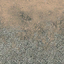 trackroadside texture from road.txd (128x128 DXT1)