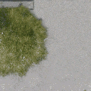 trainground3 texture from lae2roadshub.txd (256x256 DXT1)