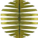 treepropleaf01 texture from xrefairtree.txd (128x128 DXT3)