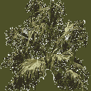 trunk3 texture from gta_tree_bevhills.txd (128x128 ARGB32)