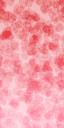 tubelite texture from casmafbar.txd (64x128 DXT3)
