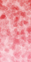 tubelite texture from mickytextures.txd (64x128 DXT3)
