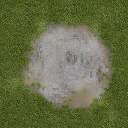 veg_bevtreebase texture from des_trees.txd (128x128 DXT1)