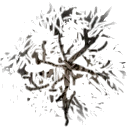 veg_bmarijuana texture from grasshouse.txd (128x128 DXT3)