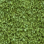 veg_hedge1_lod texture from lodvgsslod02.txd (64x64 DXT1)