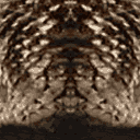 vegaspalm01_128 texture from gta_tree_bevhills.txd (128x128 XRGB32)