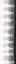 vgsN_rope texture from vgsn_nitree.txd (16x64 DXT1)