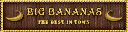 vgsSshopnew02 texture from vgsswarehse02c.txd (256x64 DXT1)