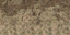 vgs_rockbot1a_lod texture from lodvgwstcoast.txd (64x32 DXT1)