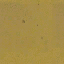 vgsclubpllr01_64 texture from fctrygrnd01.txd (64x64 DXT1)
