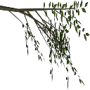 weeelm texture from tree2prc.txd (128x128 DXT3)