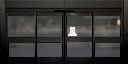 ws_airportdoors1 texture from silicon2_sfse.txd (256x128 DXT1)