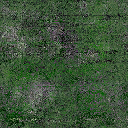 ws_algae_concrete texture from ws_jetty_sfx.txd (256x256 DXT1)