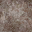 ws_altz_wall1 texture from lod_sfse.txd (32x32 DXT1)