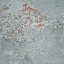 ws_altz_wall2bluetop texture from burgalrystore_sfse.txd (256x256 DXT1)