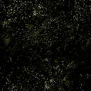 ws_blackmarble texture from blacksky_sfse.txd (128x128 DXT1)