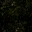 ws_blackmarblelod texture from lod_sfse.txd (32x32 DXT1)