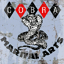 ws_cobrasign_small texture from scum2_sfs.txd (256x256 DXT1)