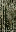 ws_corr_metal1 texture from lodlawnsmall.txd (16x32 DXT1)