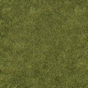 yardgrass1 texture from vgsxrefpart1.txd (256x256 DXT1)