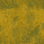 yellowscum64 texture from vgnpwroutbld2.txd (64x64 DXT1)