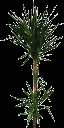 yuka256 texture from gta_potplants.txd (128x256 ARGB32)