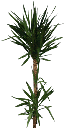 yuka256 texture from plants.txd (128x256 DXT3)