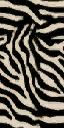 zebra_skin texture from carter_block.txd (64x128 DXT1)